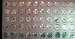 Emeralds